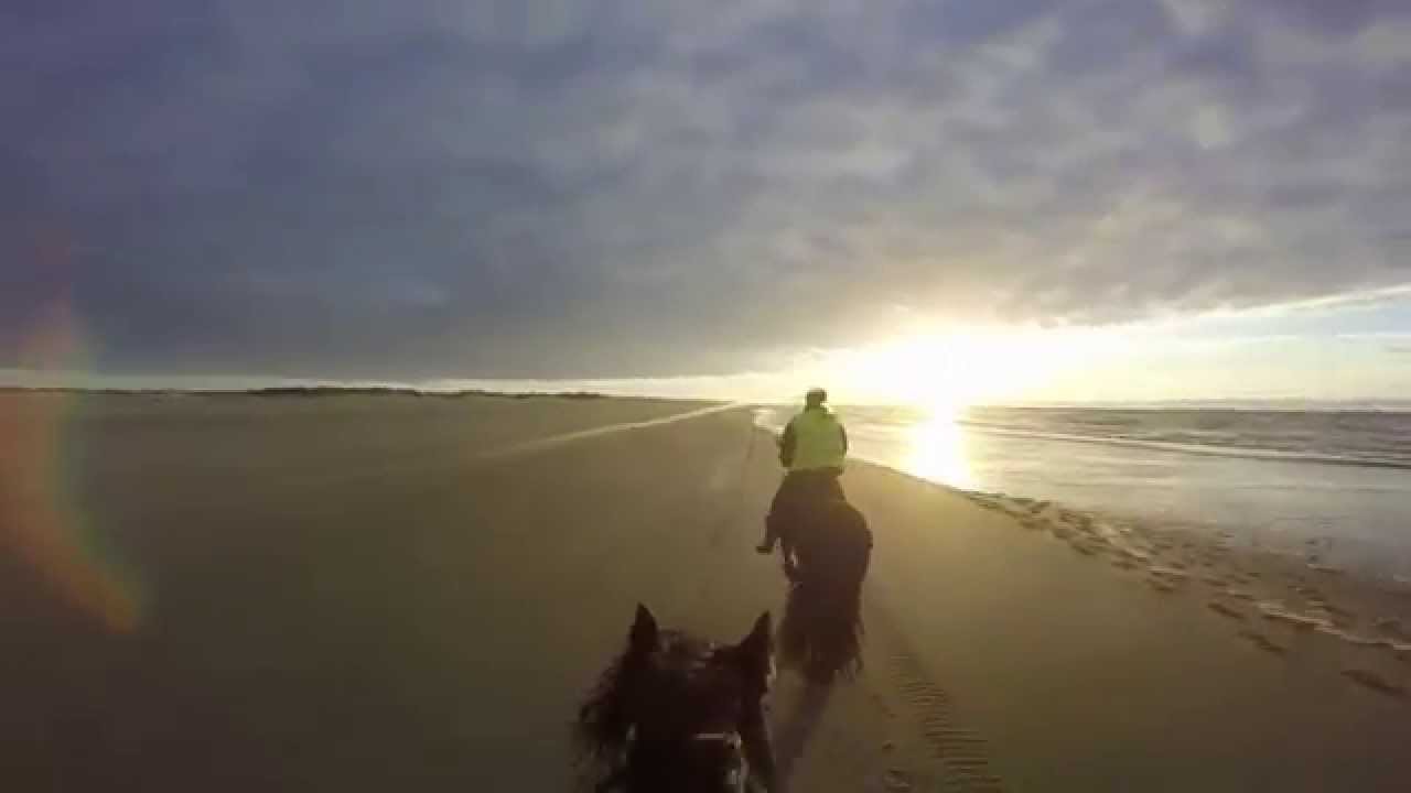 Horseback riding in The Netherlands.