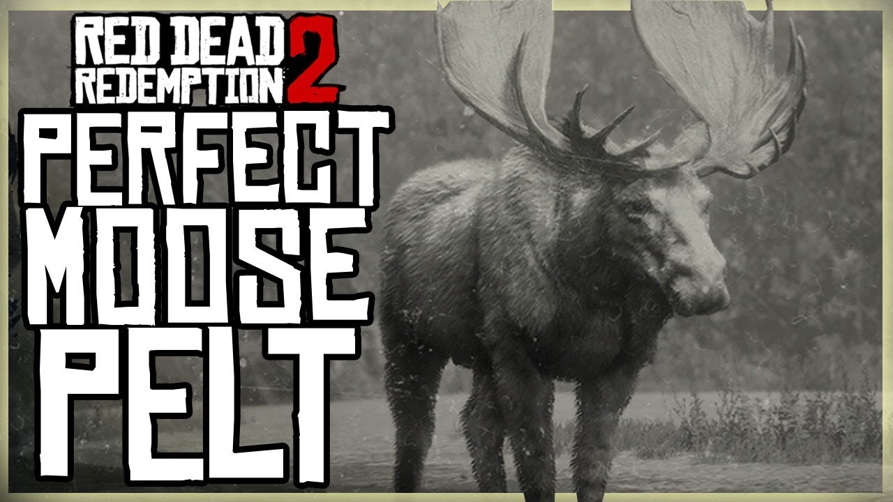 КАК ПОЛУЧИТЬ ИДЕАЛЬНУЮ ШКУРУ ЛОСЯ - RED DEAD REDEMPTION 2 PRISTE MOOSE HUNT