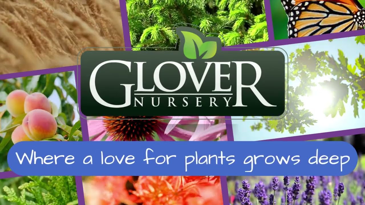 Welcome to Glover Nursery in West Jordan, Utah
