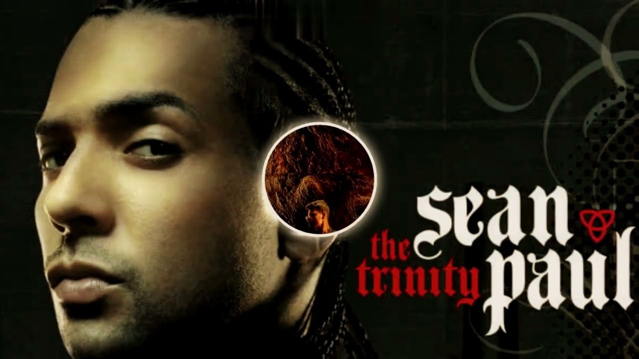 Sean Paul - Temperature (House Remix)