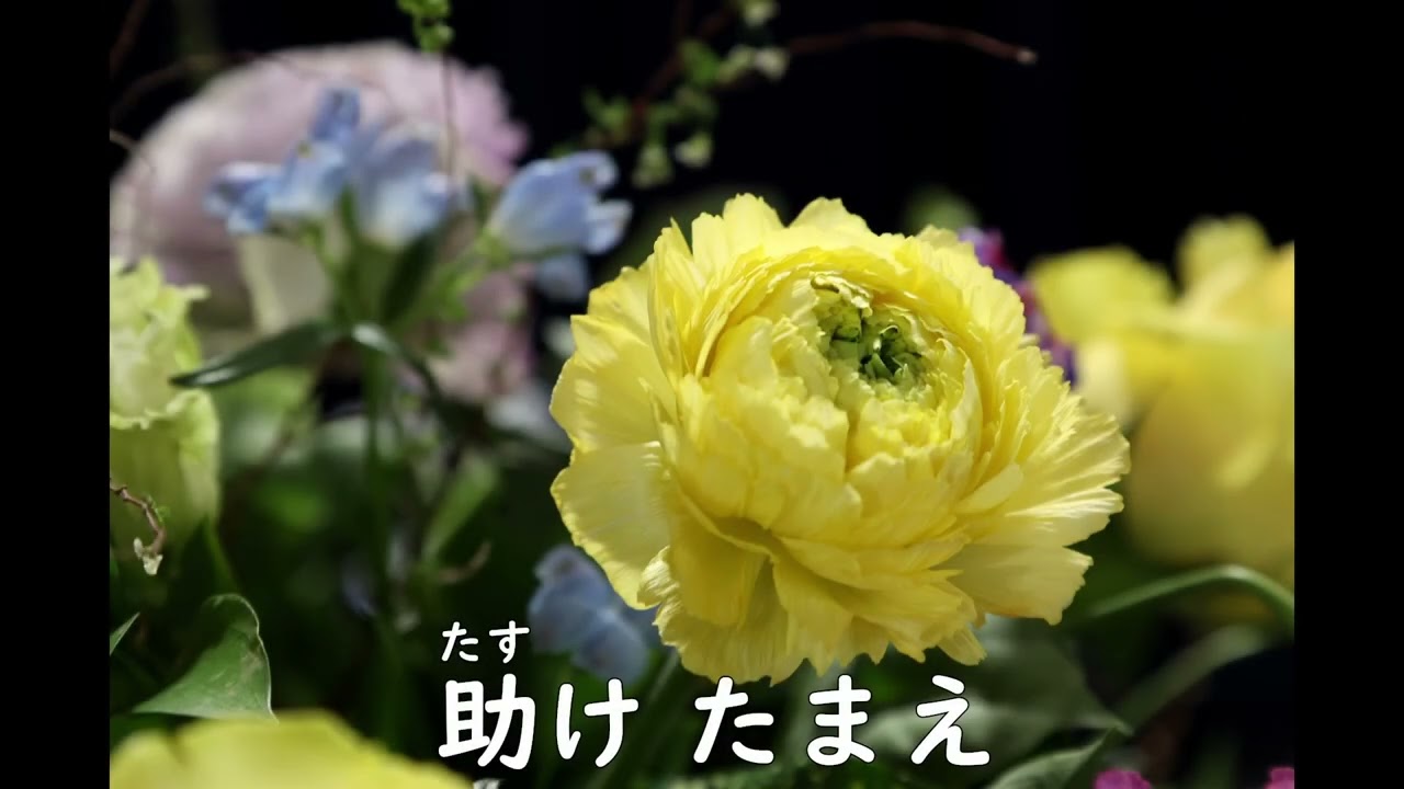 「慕いまつる主なるイエスよ」（歌唱、独唱）　Precious Lord, take my hand　総合版 581 番 / 聖歌 557 番