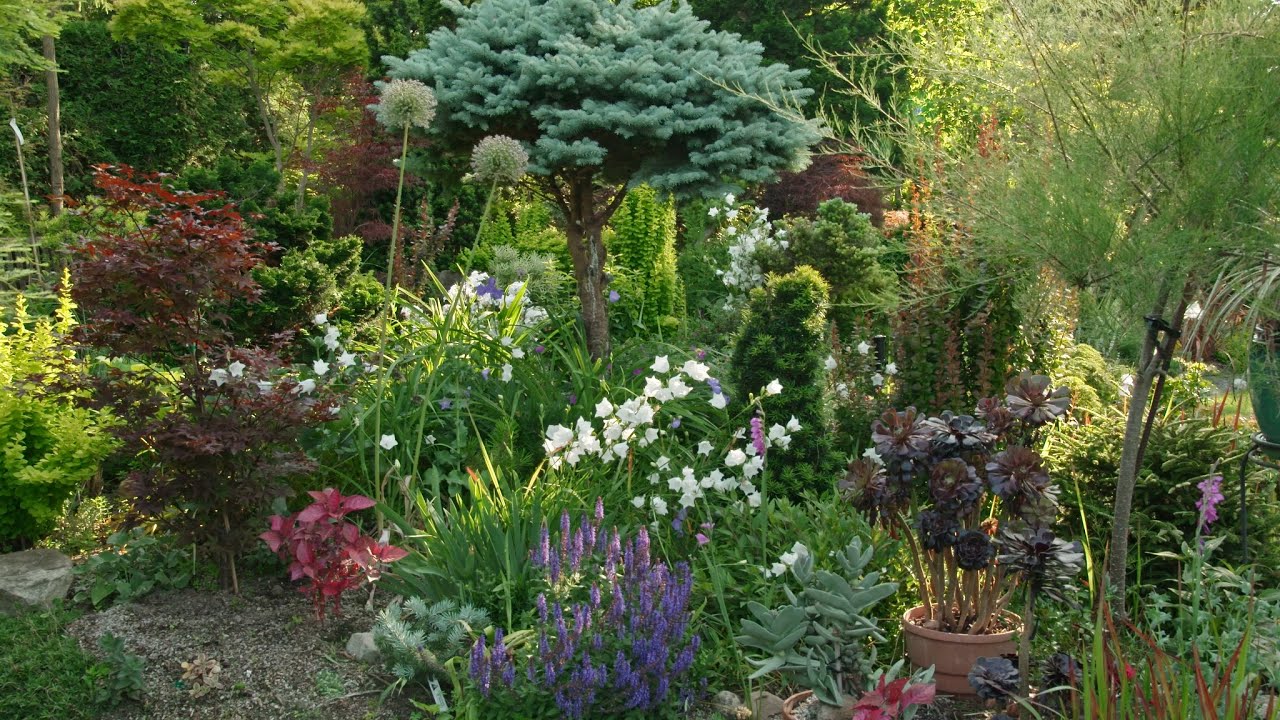 Visionary Gardeners - Webisode: 