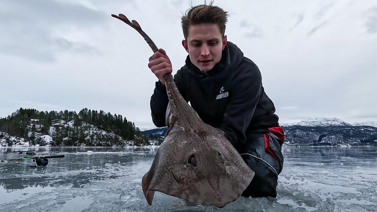 Skatebonanza og matauk på Sjøisen