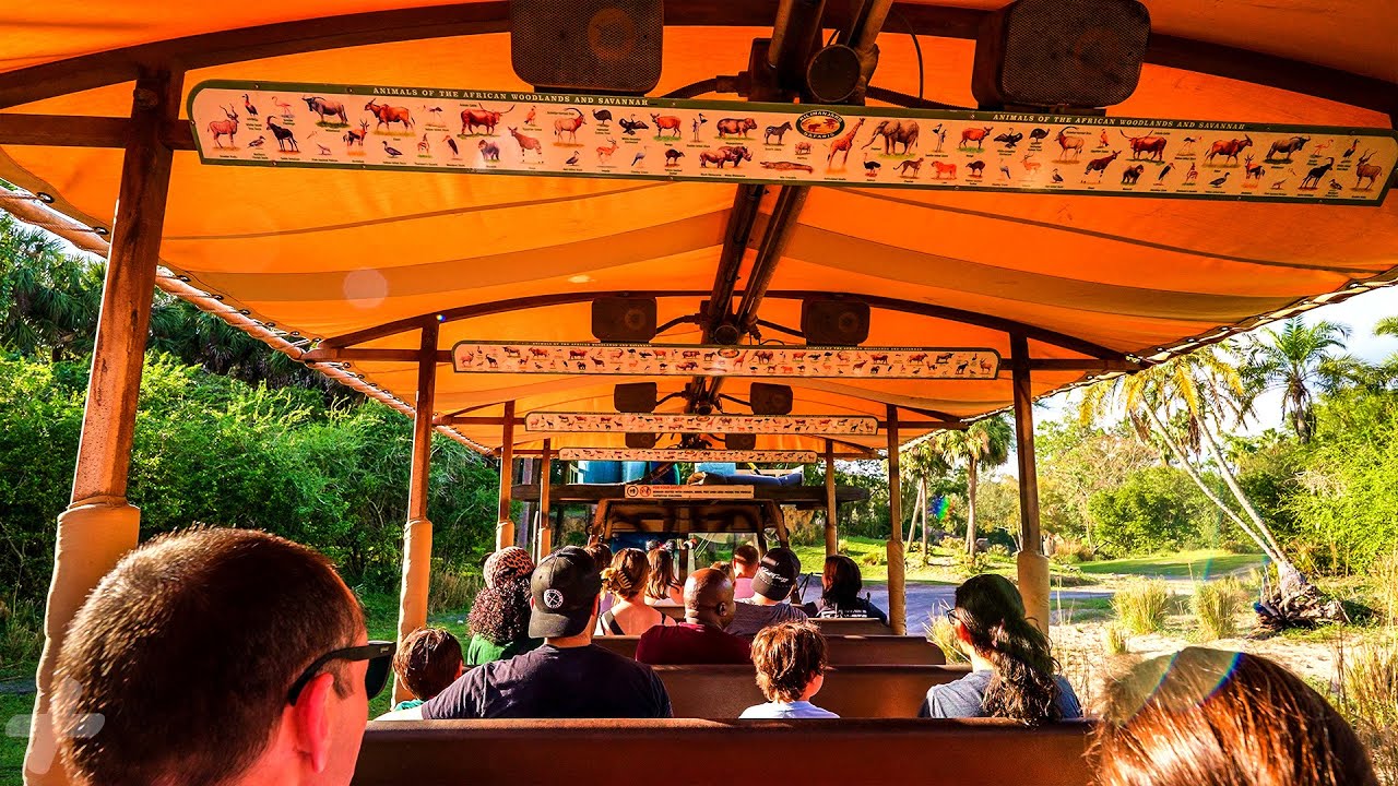 Disney Kilimanjaro Safaris Ride 2025 - Animal Kingdom Rides [4K POV]