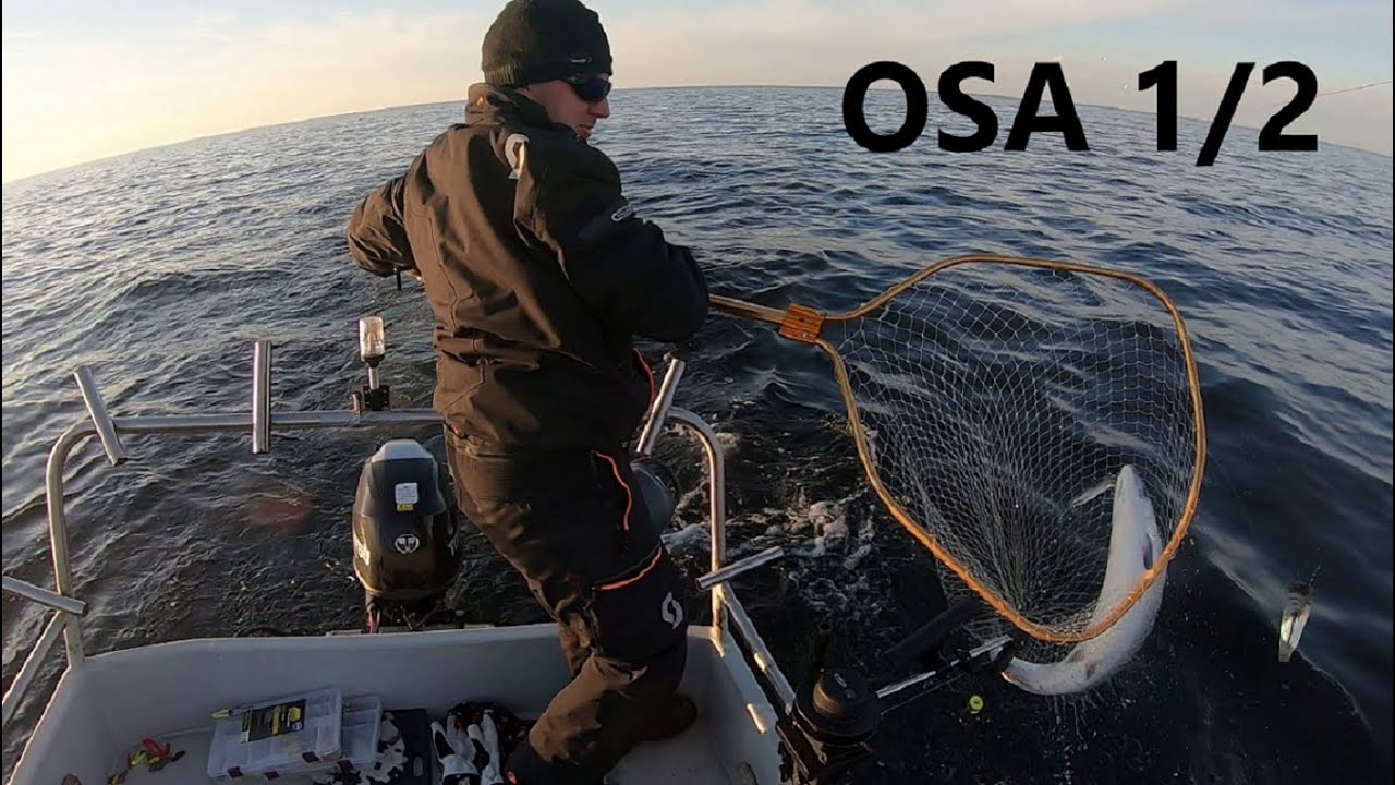 Kolmen kalan kesäyö, osa 1 (2/2021)