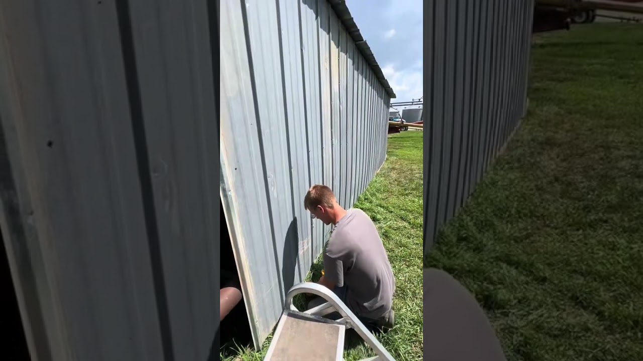 Portable cattle shed✅ #grazing #covercrops #highland #cow #diy #dayinmylife #farming #farmlife #farm