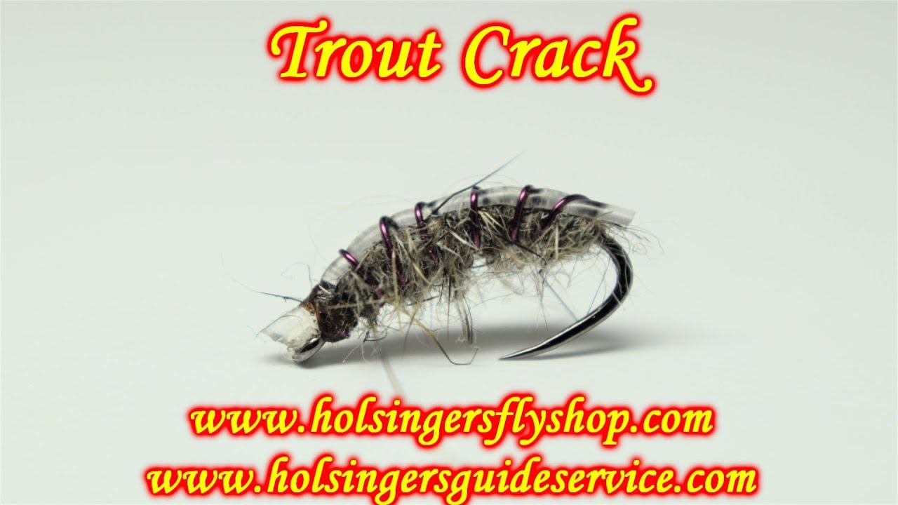 Trout Crack, Holsinger's Fly Shop