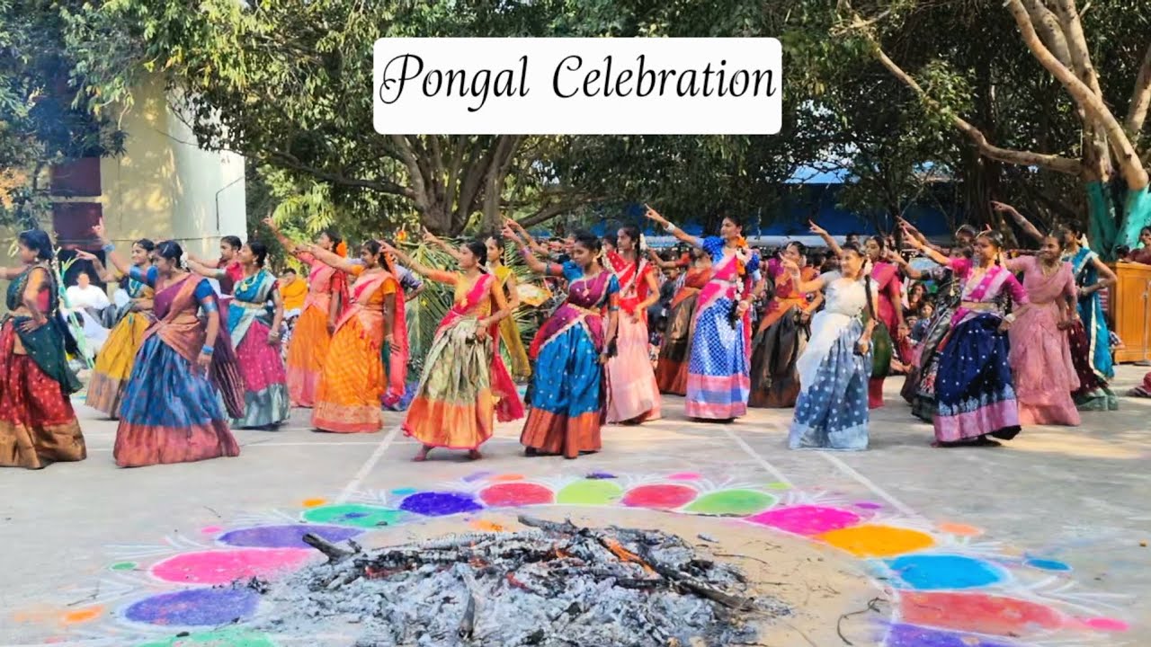 Pongal Celebration | PMS Kendriya Vidyalaya Malkapuram