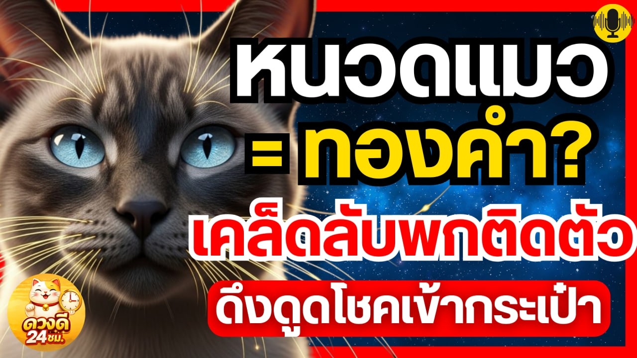 หนวดแมว = ทองคำ? เคล็ดลับพกติดตัว ดึงดูดโชคเข้ากระเป๋า