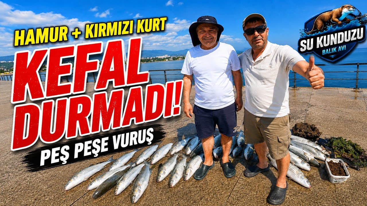 BİR DAHA BÖYLE AV GÖREMEYECEĞİZ… 🎣 ORDU’DA SON KEFAL AVI ! SU KUNDUZU