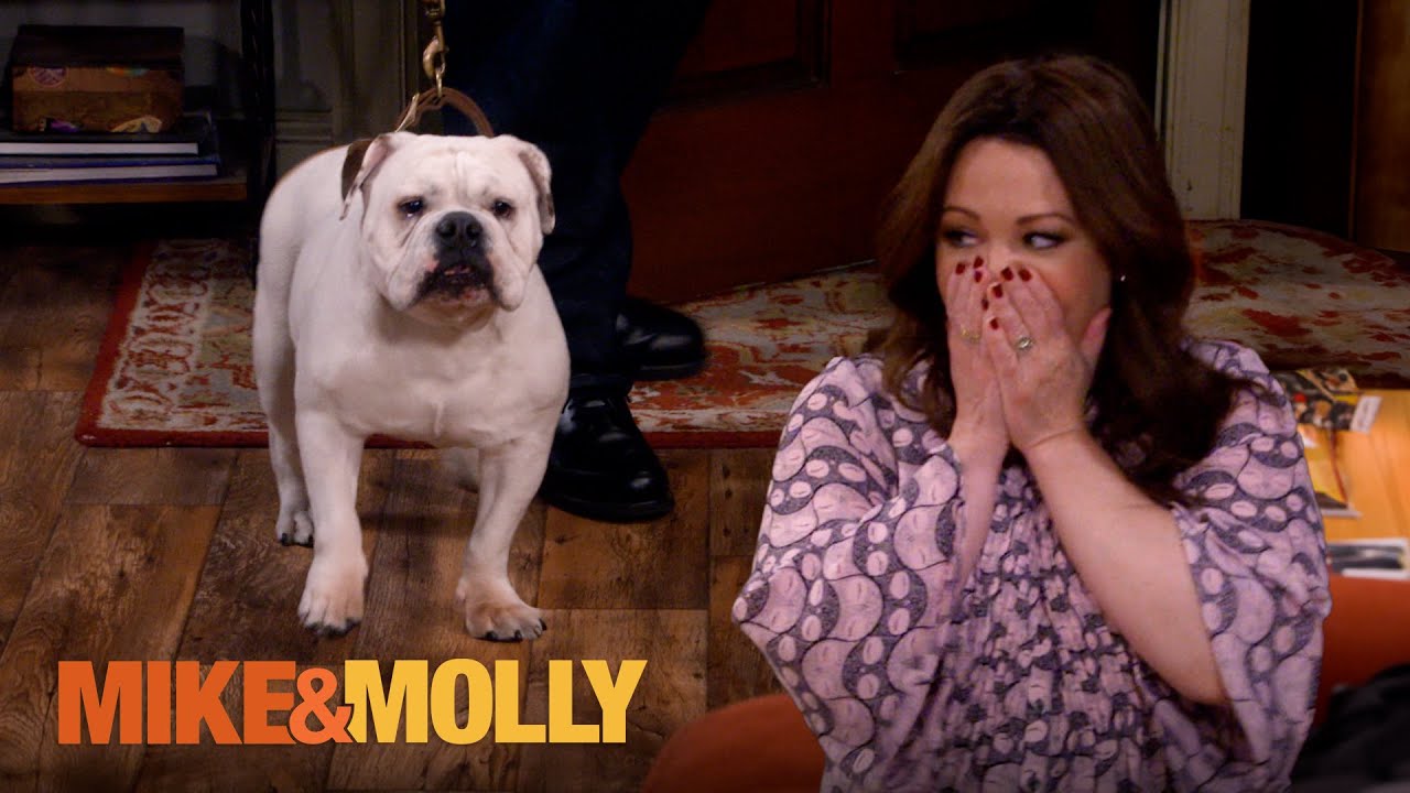 Mike Brings a Rescue Dog Home | Mike & Molly