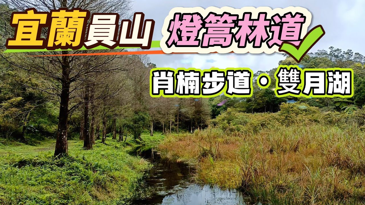 宜蘭員山 | 燈篙林道•肖楠步道•雙月湖O型 | 宜蘭春天最美賞櫻景點115/3/9 