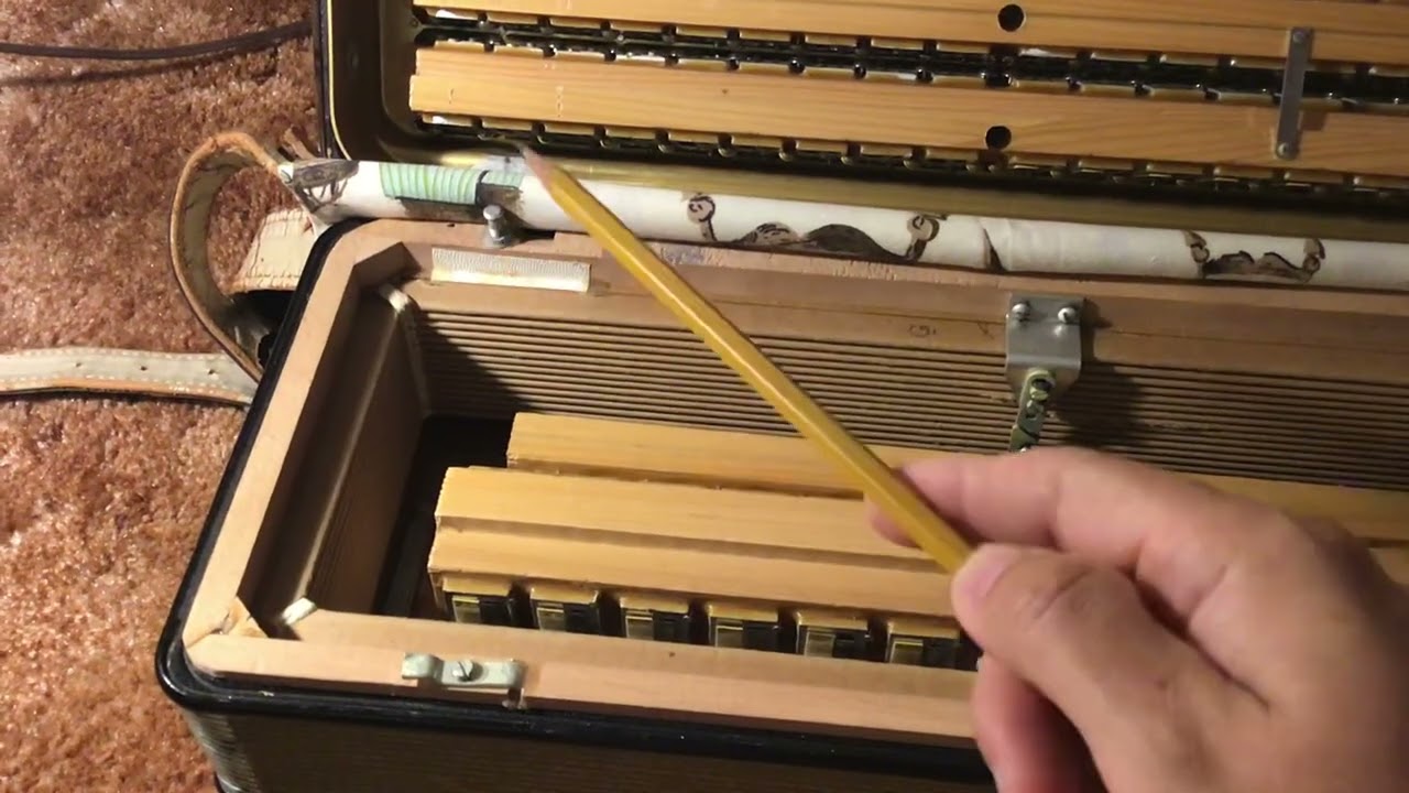 Inside of Hohner Lucia Ivp accordion 🪗 reed inspection and dusting 