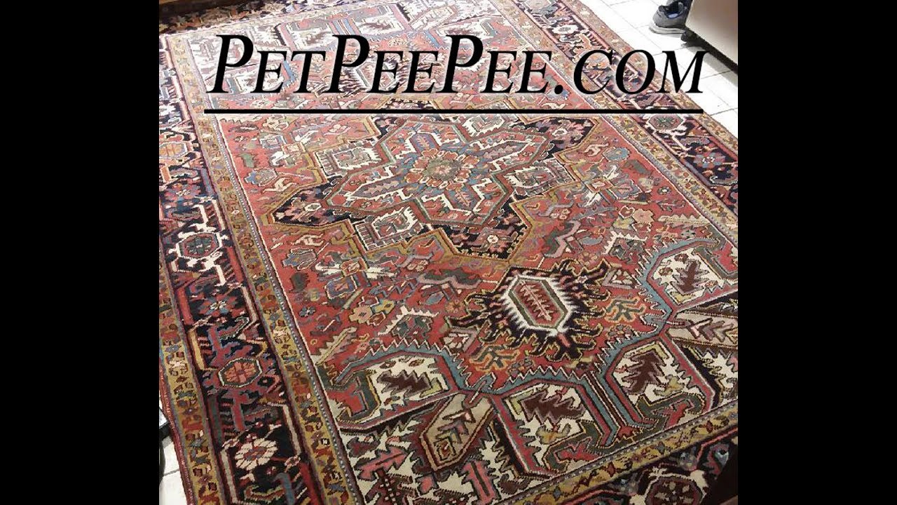 Cleaning Antique Persian Rug from PetPeePee-