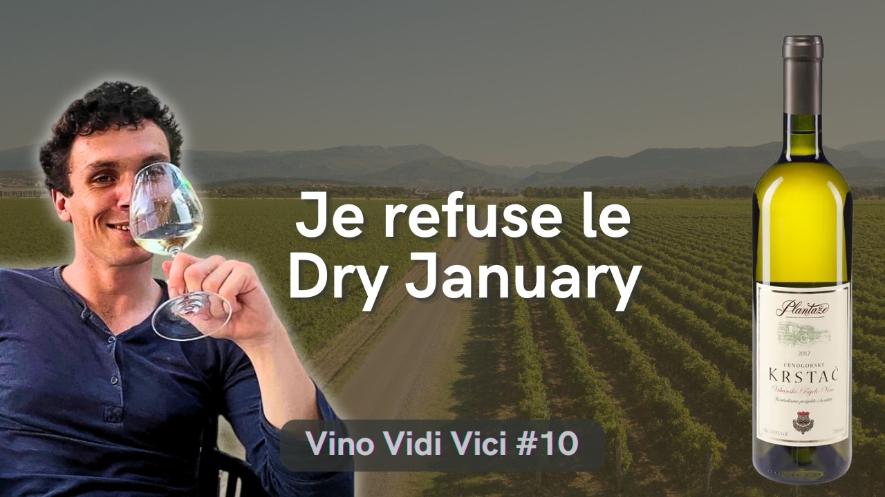 Dry January : devriez-vous le faire ? — Vino Vidi Vici #10
