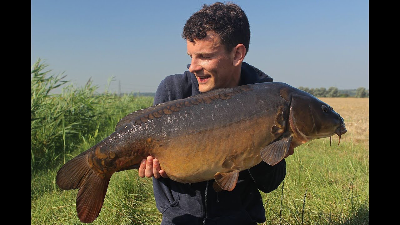 River Carp Fishing | Down By The River | Webisode #1 www.carpjunky.com