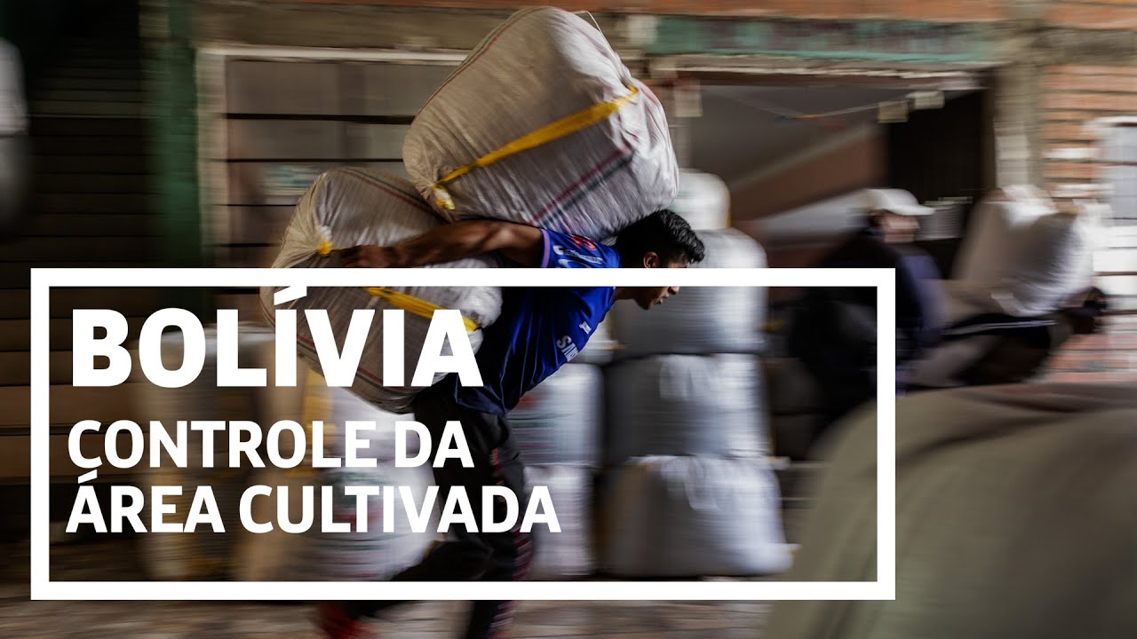 COCAÍNA: Sem oficializar, Bolívia permite plantio de coca para drogas
