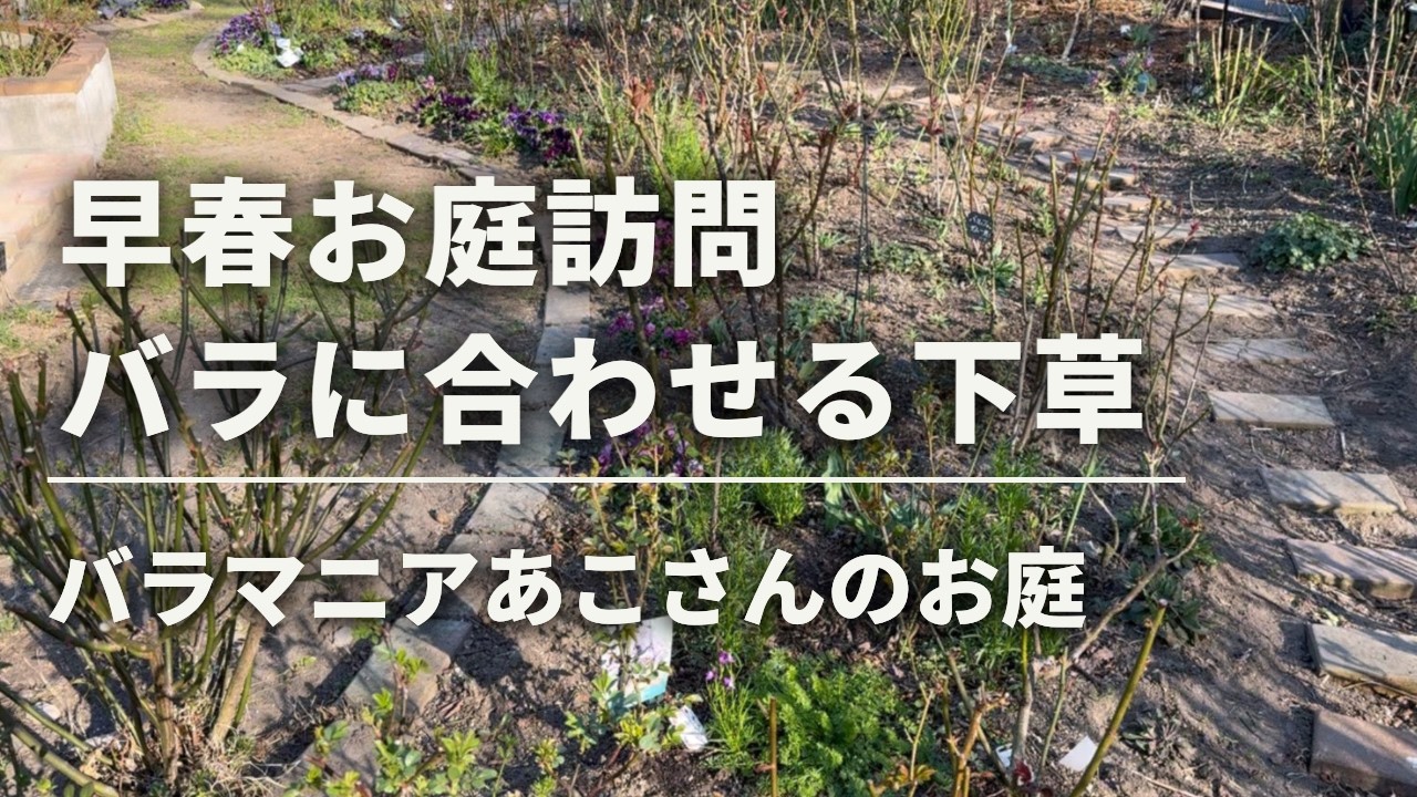 2026年3月18日
