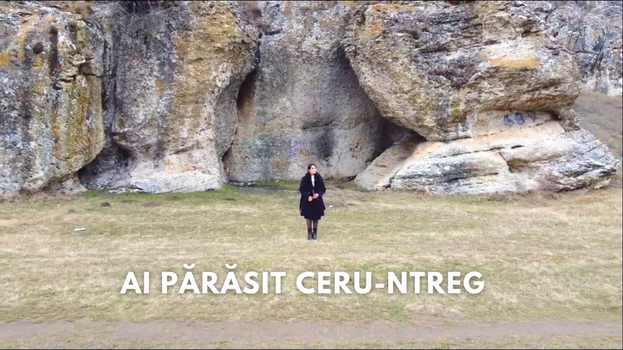 Ai părăsit ceru-ntreg | Valerica Vișan