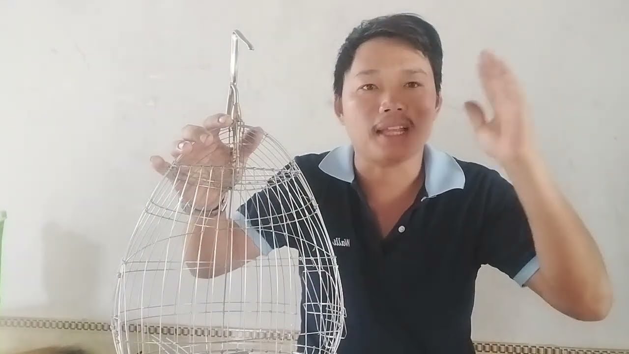 Hướng dẫn cách làm lụp chim cu gáy tại nhà cho anh em sinh viên