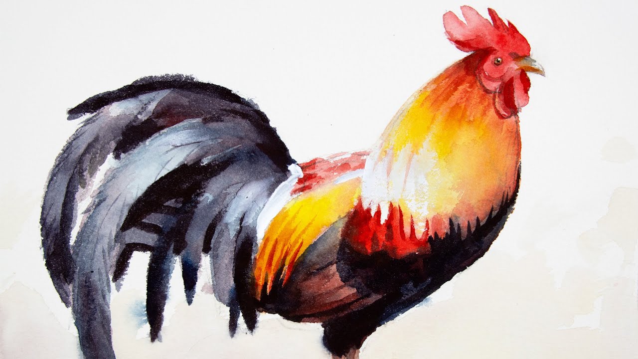 Watercolor painting a rooster step by step