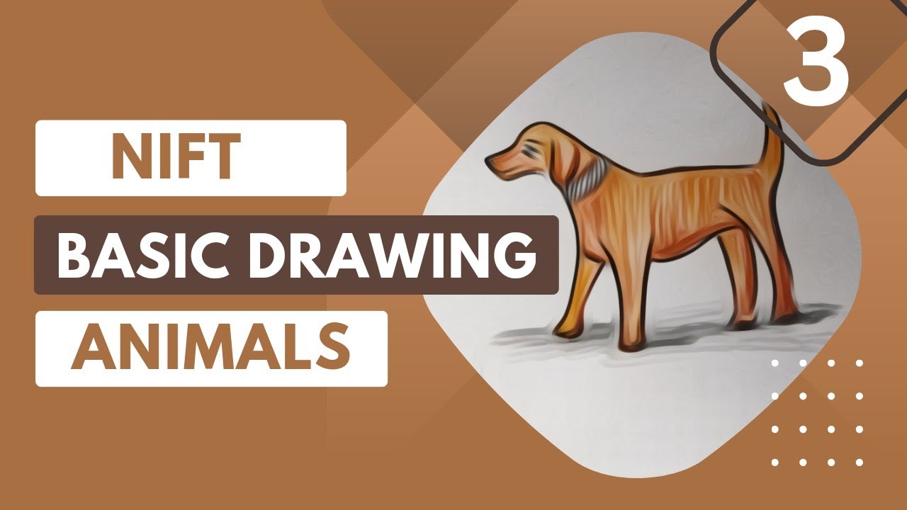 Basic Animals🐶 Drawing for nift entrance exam | category drawing | part 3 | design education | nift