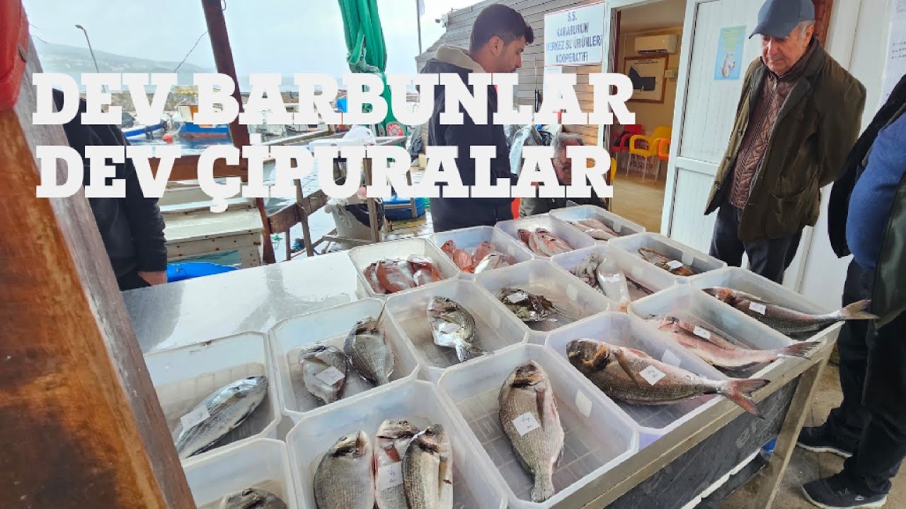 BALIK MEZATI (KARABURUN) 10.02.2026 GENİŞ EKRAN