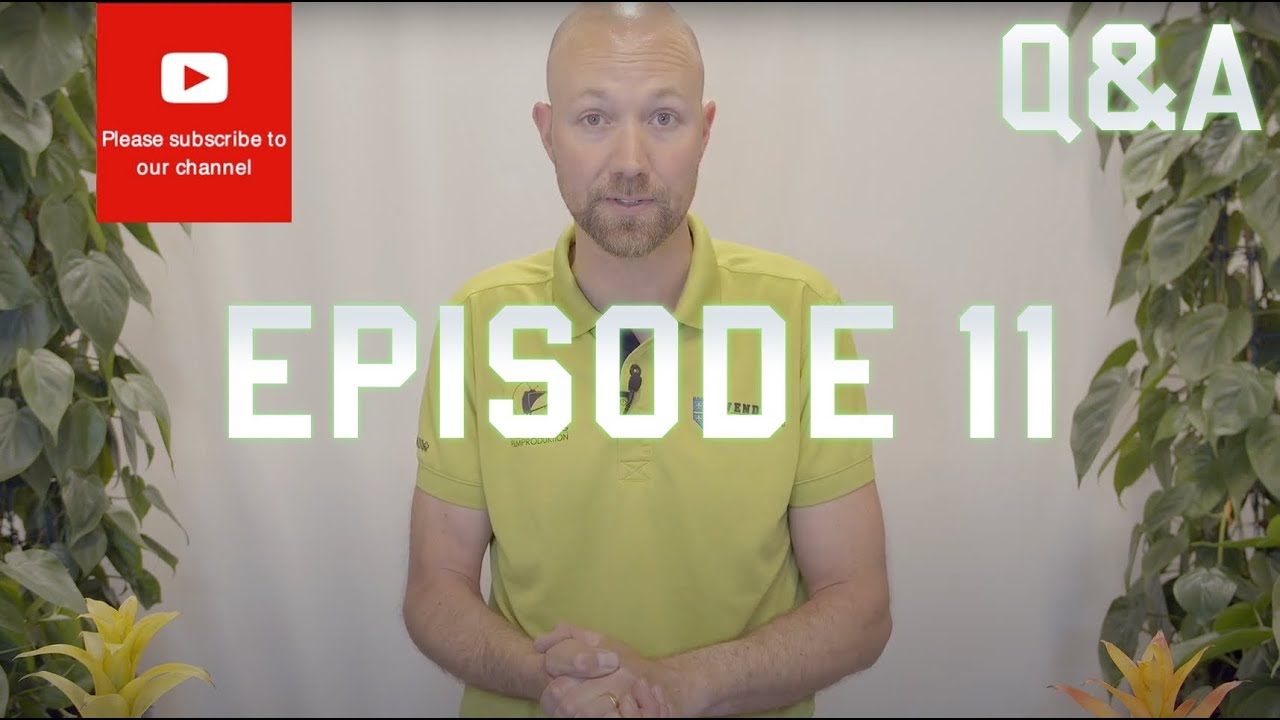 Q&A Episode 11