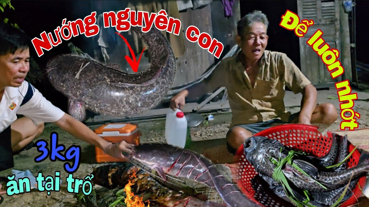 Ah7 Điều 