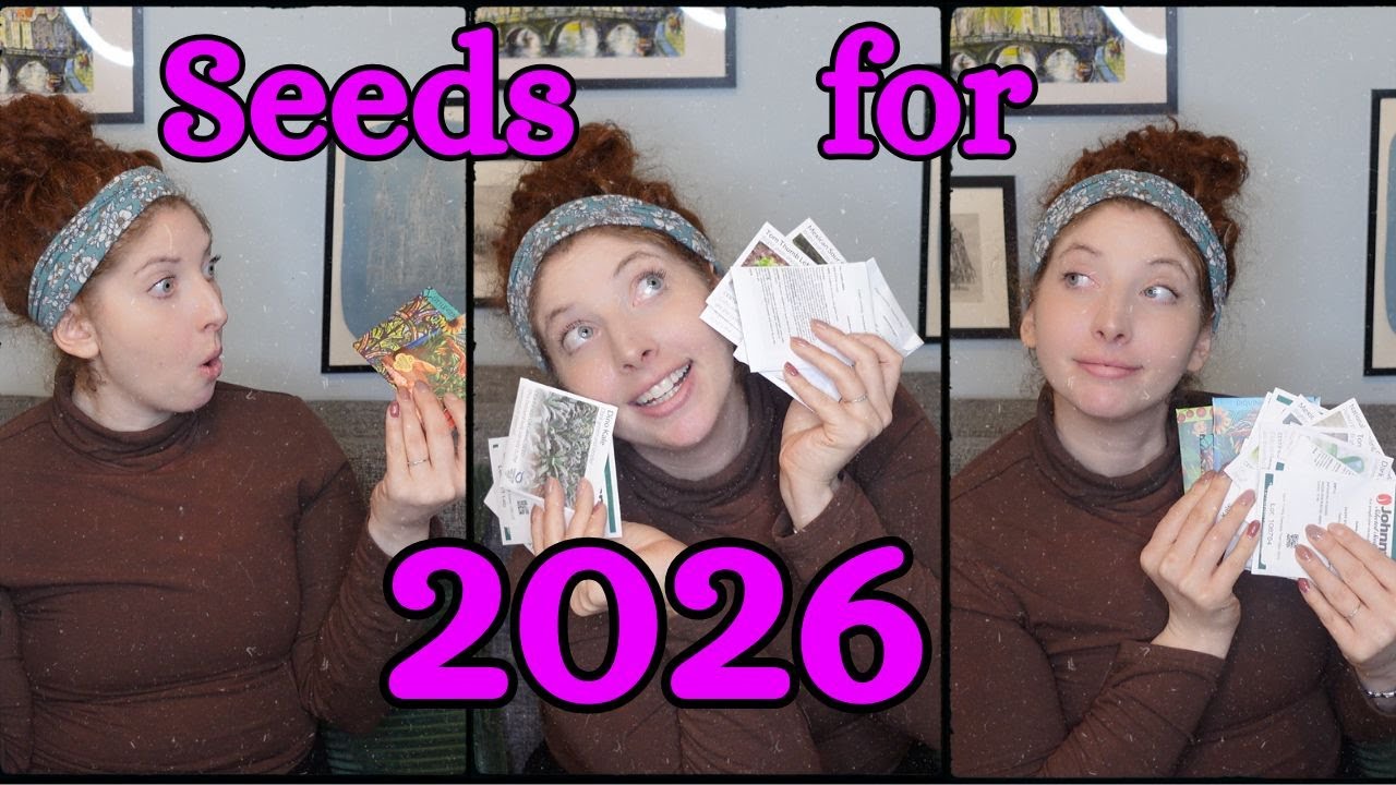 Planting Ahead: Choosing Seeds for My 2026 Indoor Garden