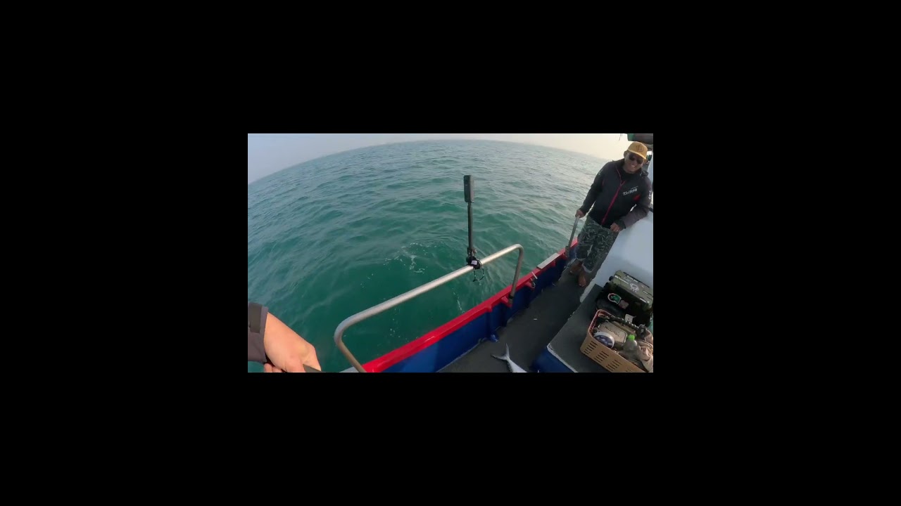 終於有機會來體驗台南名產！飛扁v.s爛爛班～其實我是想來解鎖爛爛的⋯這個想法差點被全船唾棄😭當然遇到白北跟土魠是最好啦！ #daiwa #ghostblade #amika #wefox