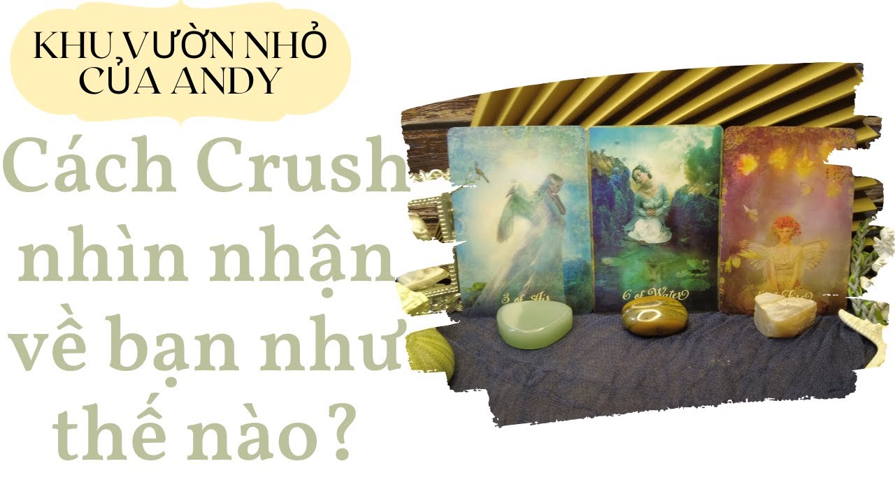 Chọn 1 tụ bài Tarot - Cách Crush nhìn nhận về bạn như thế nào? - Alo Andy