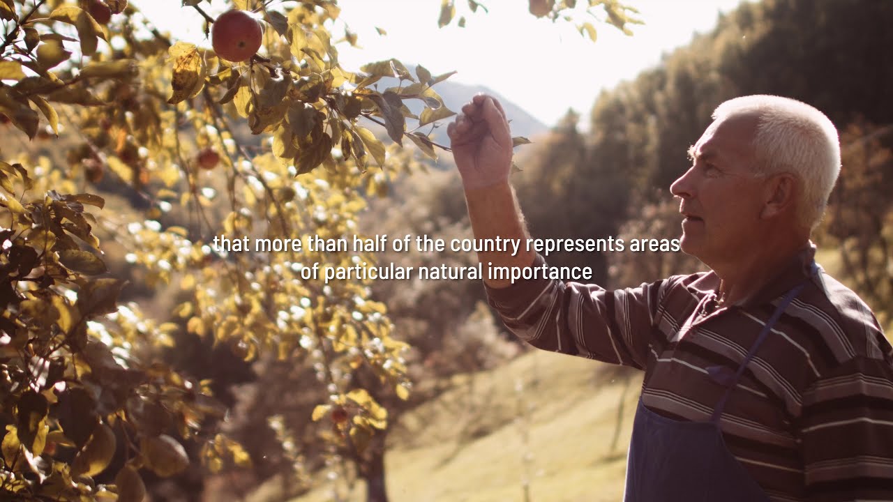 Natura 2000 in Slovenia: We all wish for nature to do well