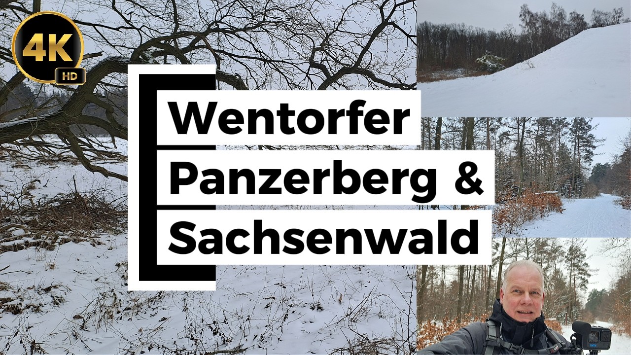 Wentorfer Lohe - wandern, wo einst Panzer rollten & Sachsenwald - 4K HD