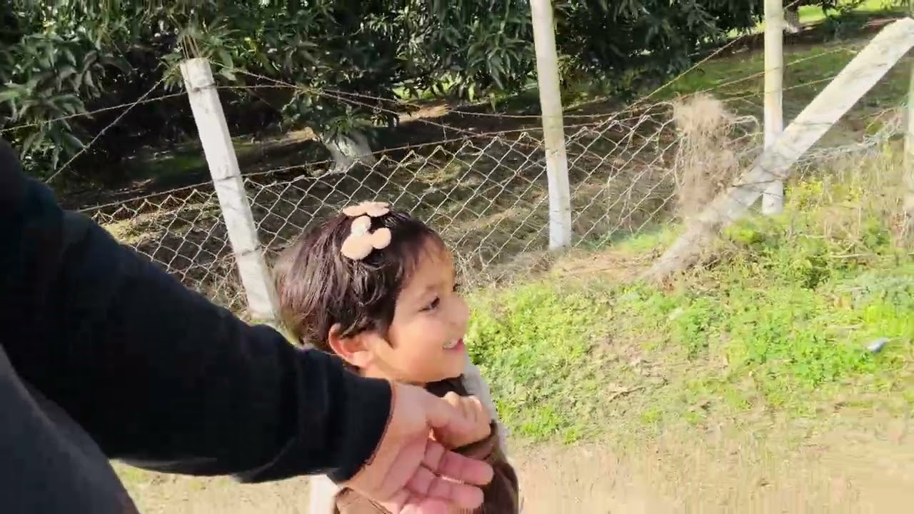 family daily vlog with dhruvi❤️