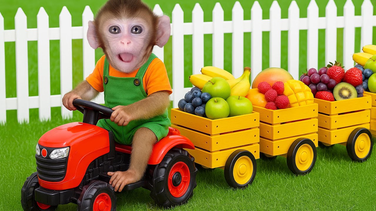Mono CoCo conduce un tractor cosecha frutas en el bosque y come con el Patito tierno - MONO COCO ESP