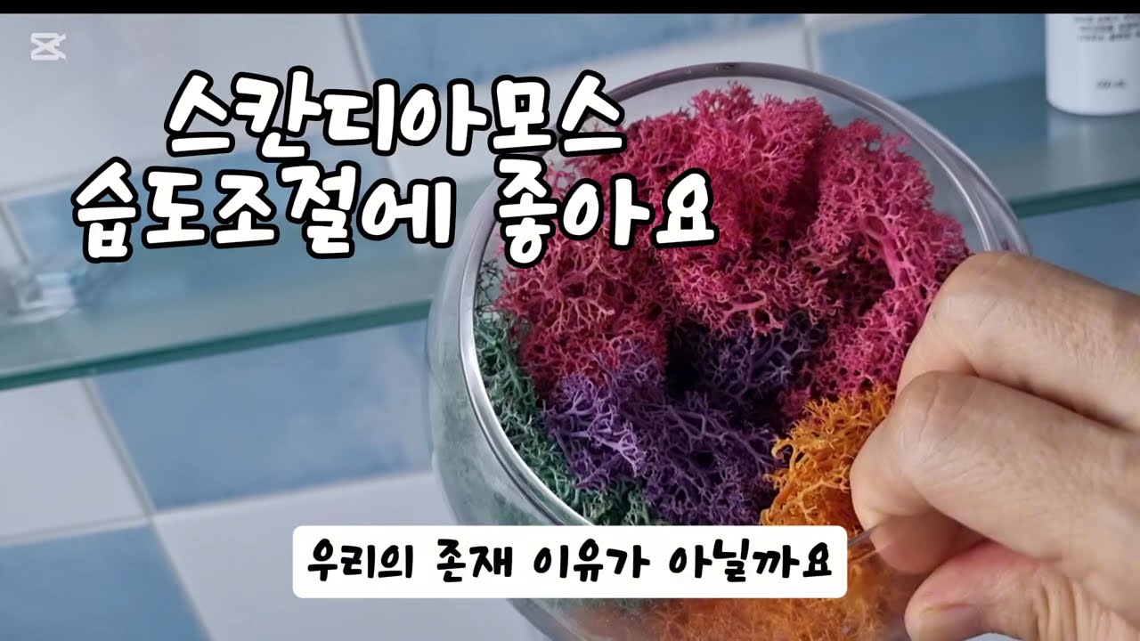 60 돌싱 청소아짐의 여자로서 홀로서기