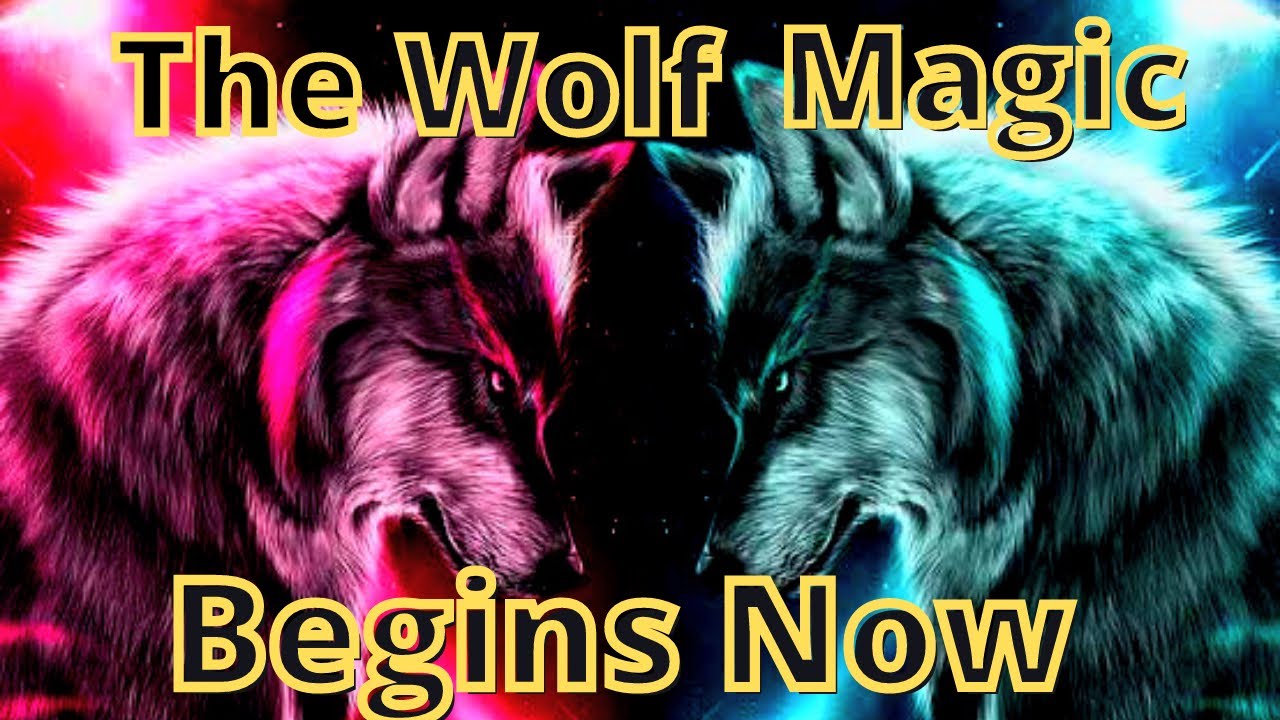 Wolf Magic Begins Now 108 Times | Wolf Magic Begins Now Success Story in Hindi |