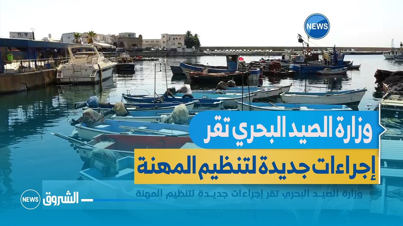 وزارة الصيد البحري تقر إجراءات جديدة لتنظيم المهنة