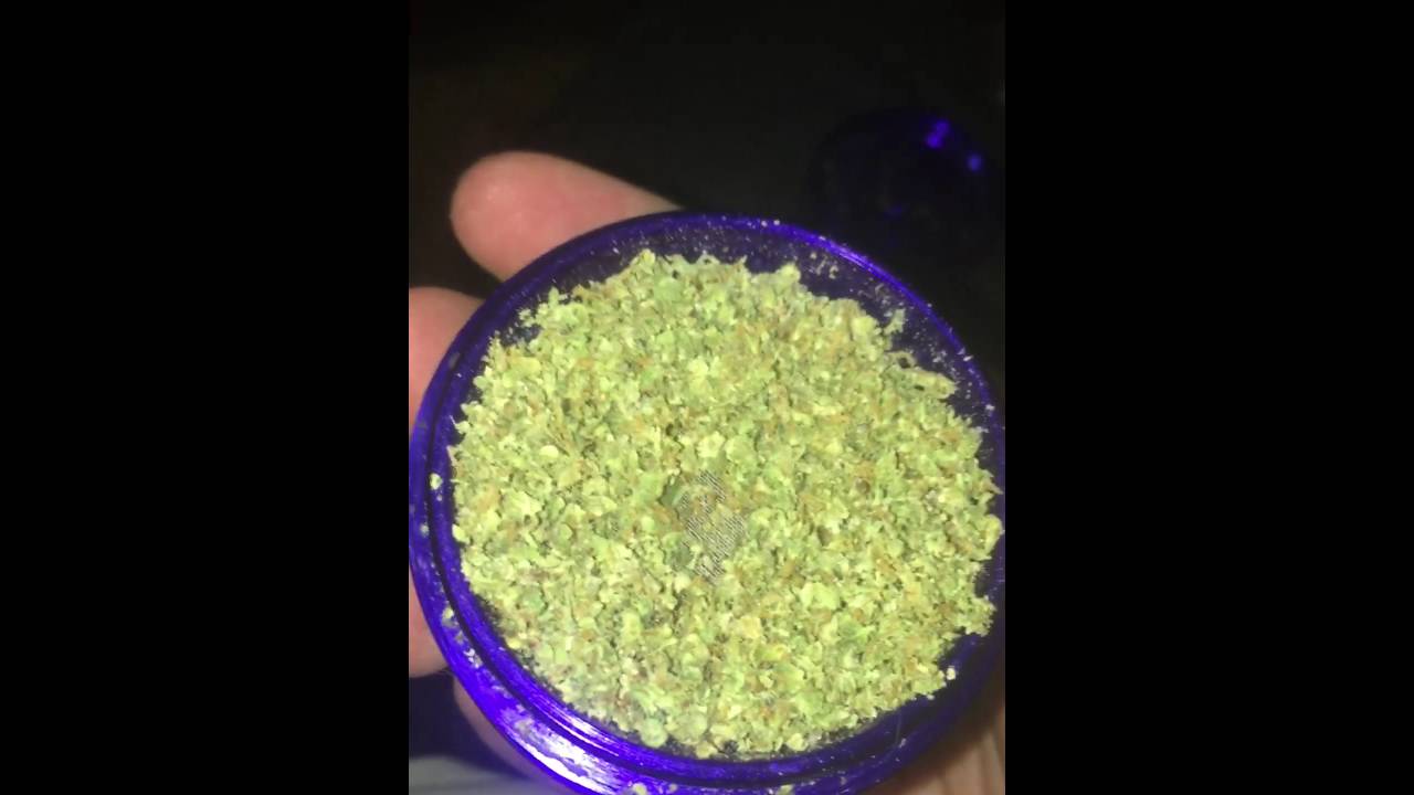 Blueberry Kush