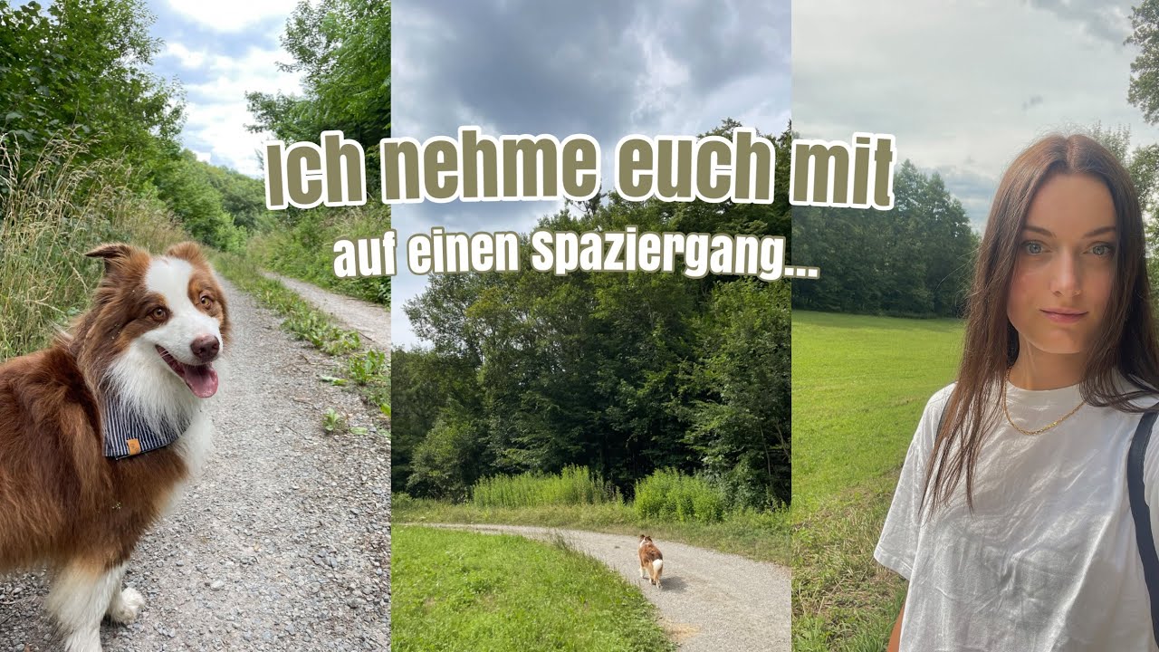 GASSI VLOG: Ich nehme euch mit auf einen Spaziergang! | Australian Shepherd | Kim Jaro