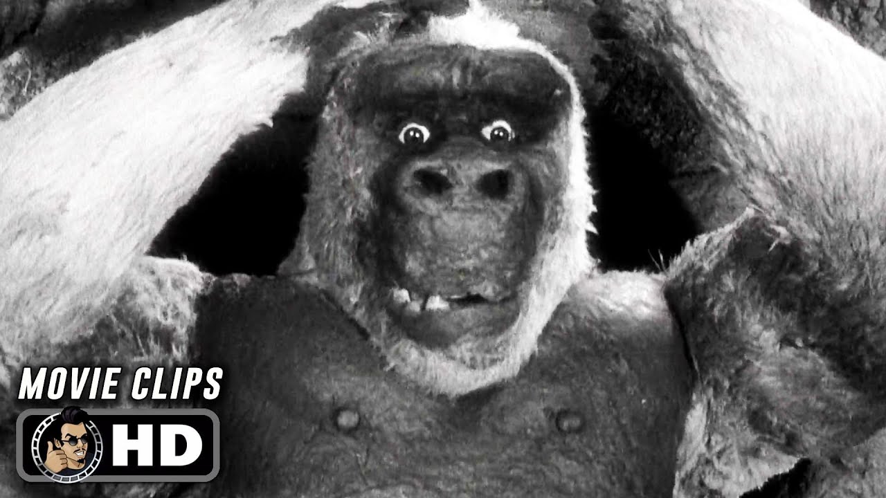 SON OF KONG 