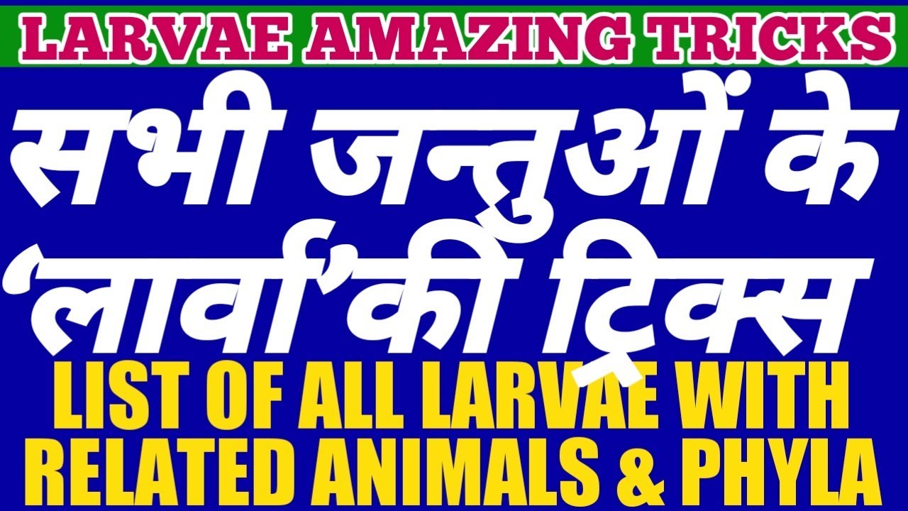 AMAZING TRICKS To MEMORIZE All LARVA, Related ANIMALS And Their PHYLA | LIST OF LARVAE OF ANIMALS.