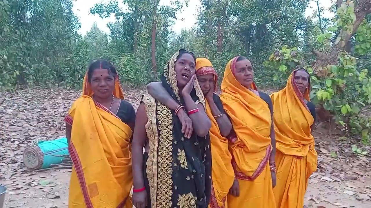 श्याम लाल चौहान व शिवात्री साथी का दादेर गीत
