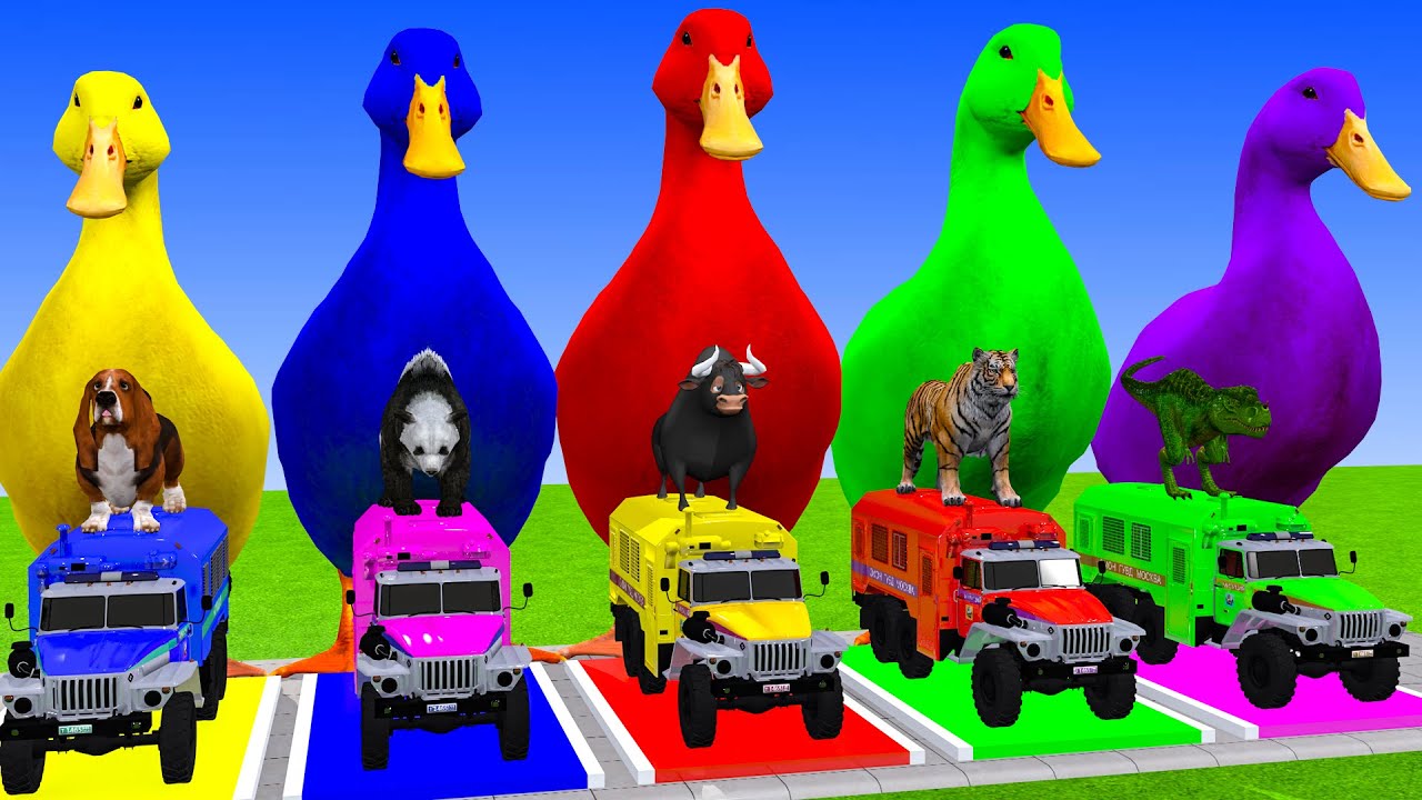Long Slide Game With Cow Elephant Gorilla Hippopotamus Tiger 3d Animal Game Funny 3d Animals