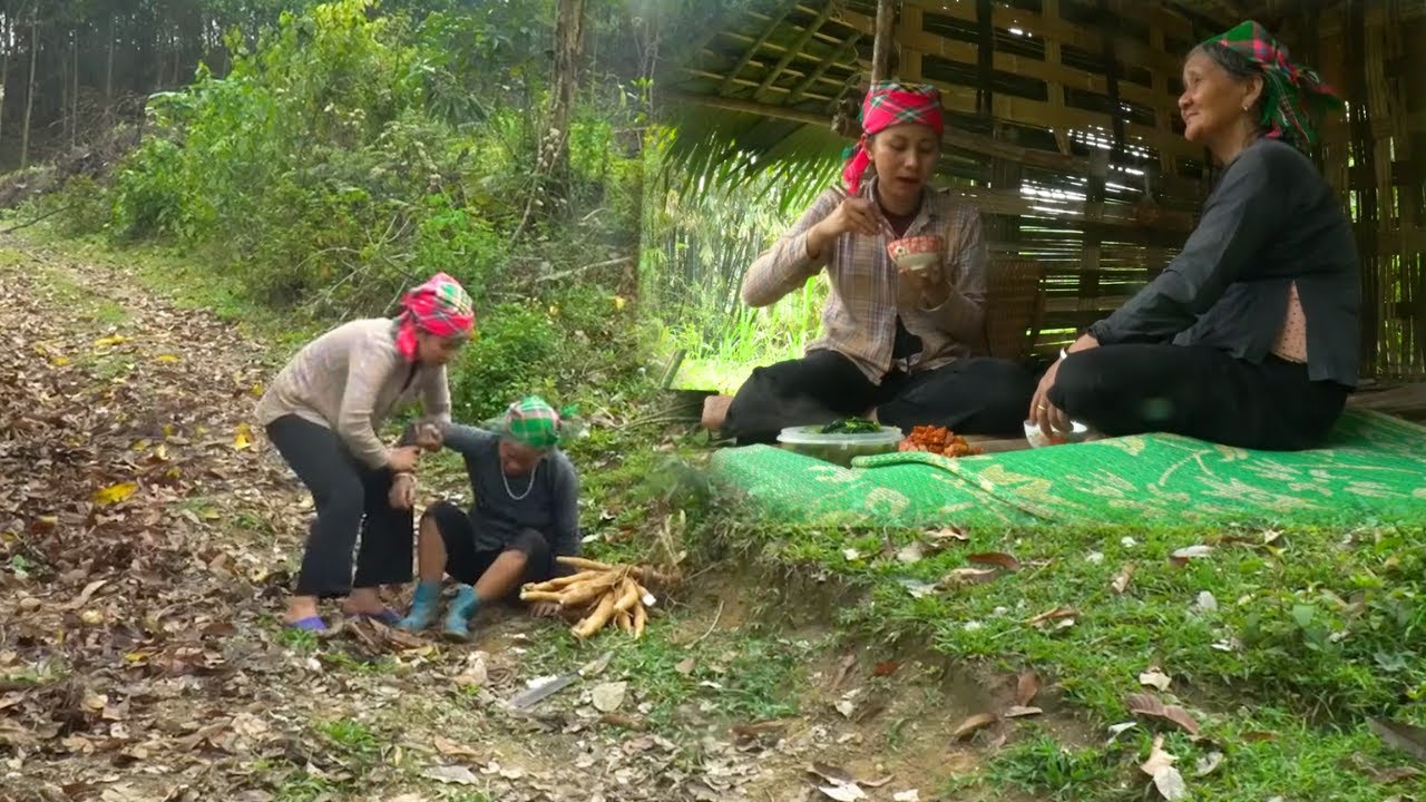Humble life story - Poor girl builds her kitchen, helps elderly woman in the woods