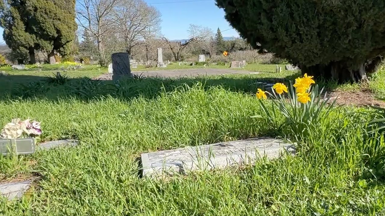 Gilliam Cemetery in Graton California - Spring Flowers!