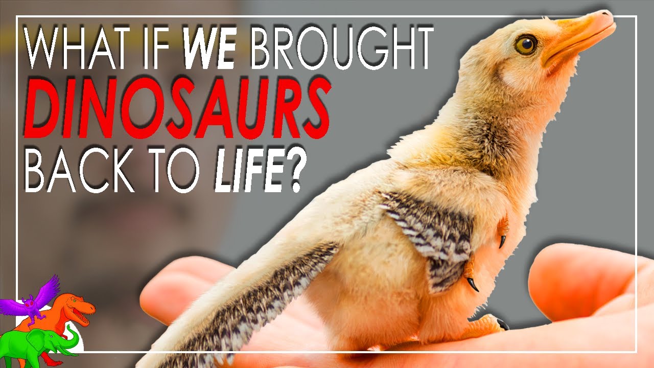 What If We Brought Dinosaurs Back To Life? – Novosaurs EXPLAINED