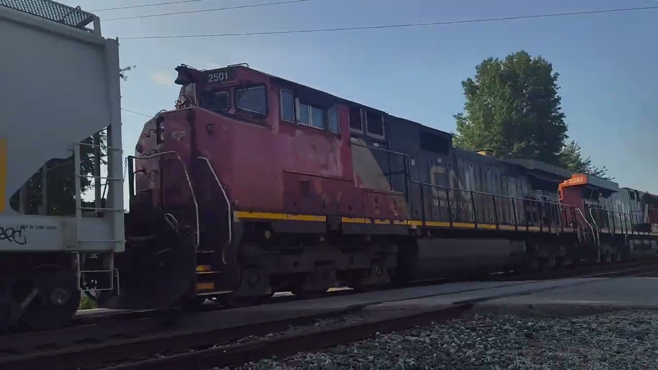 NS 19M