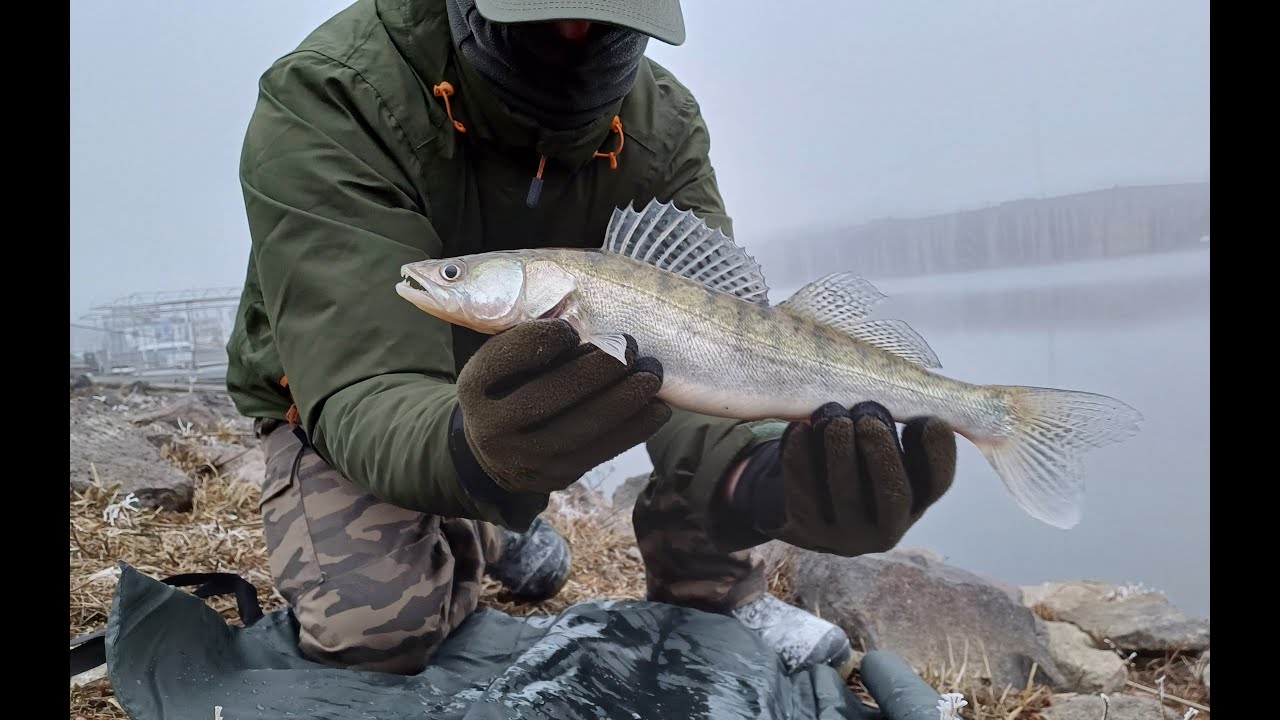 Spinfishing in Zander